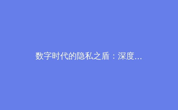 数字时代的隐私之盾：深度解析VPN技术演进与未来趋势 - 2