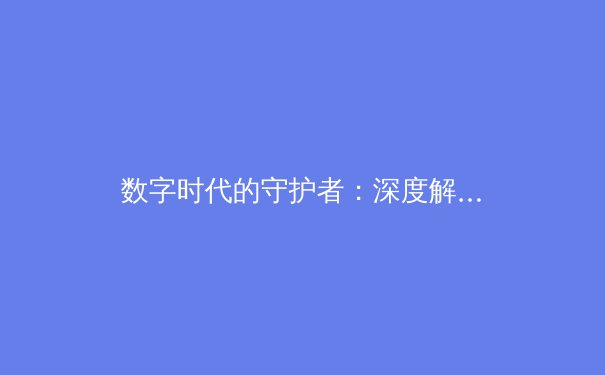 数字时代的守护者：深度解析现代VPN技术演进与安全应用 - 4