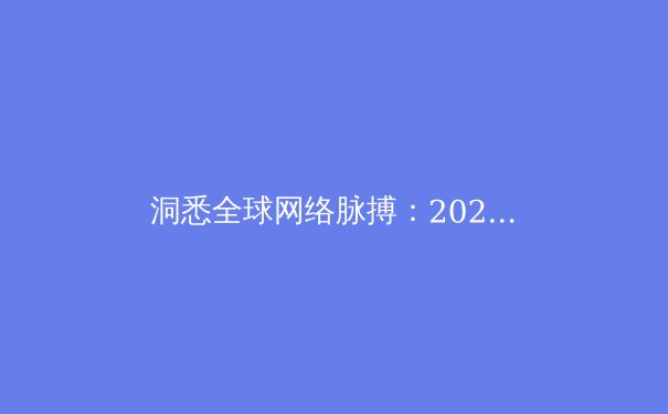 洞悉全球网络脉搏：2024年VPN技术趋势与网络安全新策略