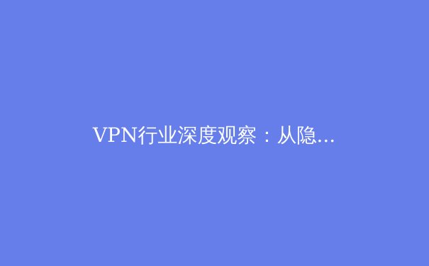 VPN行业深度观察：从隐私保护到跨境协作的数字化纽带 - 3