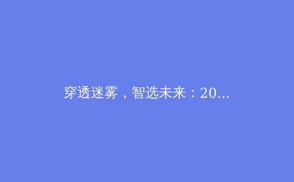 穿透迷雾，智选未来：2024年全球VPN技术演进与应用趋势深度解析