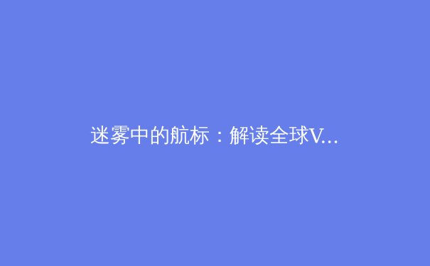 迷雾中的航标：解读全球VPN资讯背后的安全格局与技术趋势 - 3